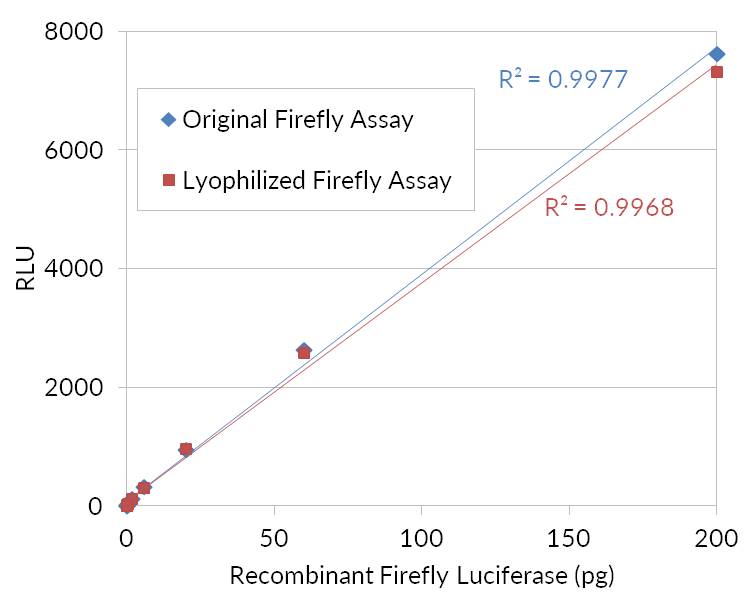 Firefly Luciferase Assay Kit (Lyophilized) - Image 3