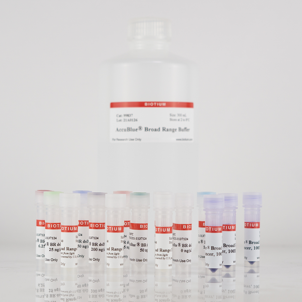 AccuBlue® Broad Range dsDNA Quantitation Kit with DNA Standards