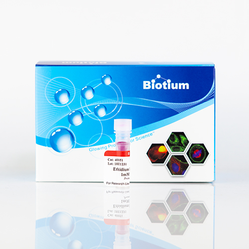 Ethidium Homodimer III (EthD-III), 1 mM in DMSO