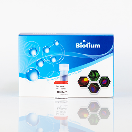 RedDot™1 Far-Red Nuclear Stain, 200X in Water