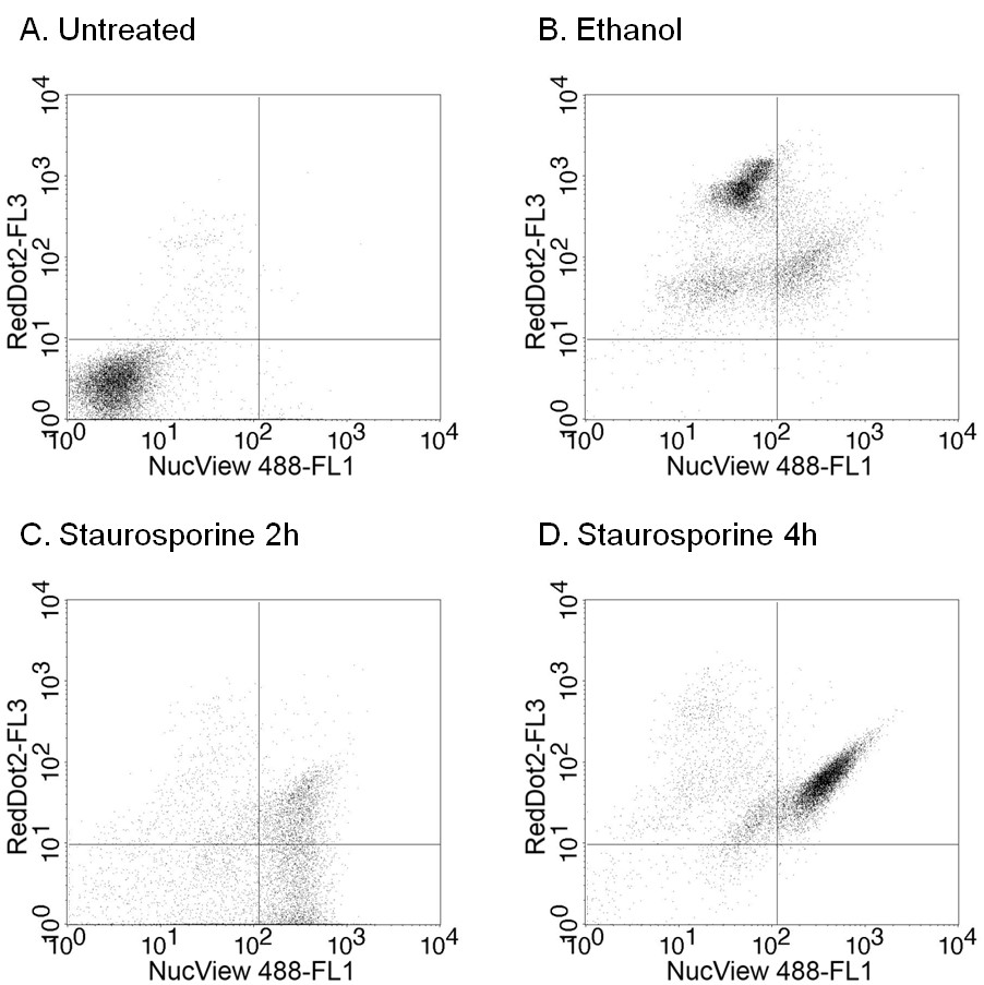 NucView® 488 & RedDot™ 2 Apoptosis & Necrosis Kit - Image 2