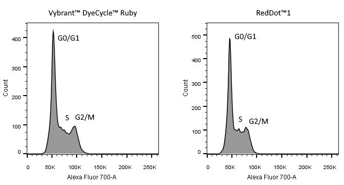 RedDot™1 Far-Red Nuclear Stain, 200X in Water - Image 5