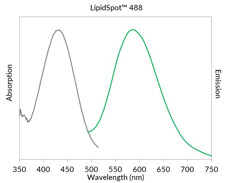 LipidSpot™ Lipid Droplet Stains - Image 6