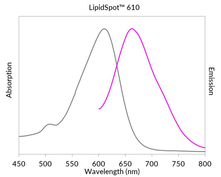 LipidSpot™ Lipid Droplet Stains - Image 7