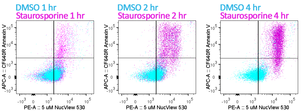 Annexin V Conjugates - Image 7