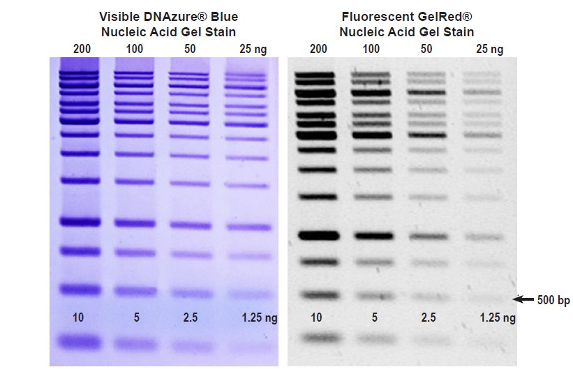 DNAzure® Blue Nucleic Acid Gel Stain, 100X