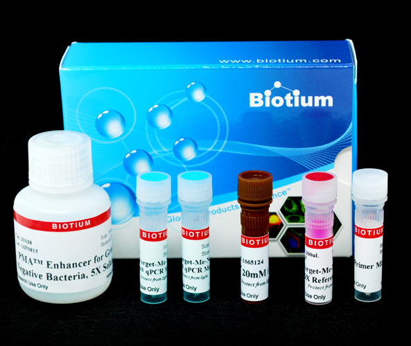 PMA Real-Time PCR Bacterial Viability Kit – Salmonella enterica (invA)