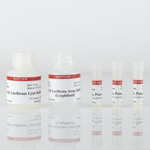 Firefly Luciferase Assay Kit (Lyophilized)