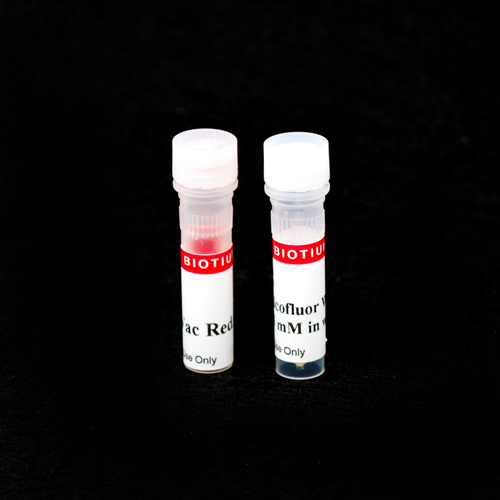 Yeast Vitality Staining Kit