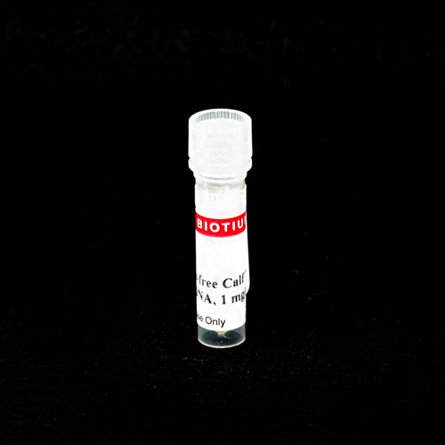 RNase-Free Calf Thymus DNA, 1 mg/mL