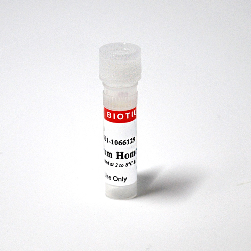 Ethidium Homodimer III (EthD-III)