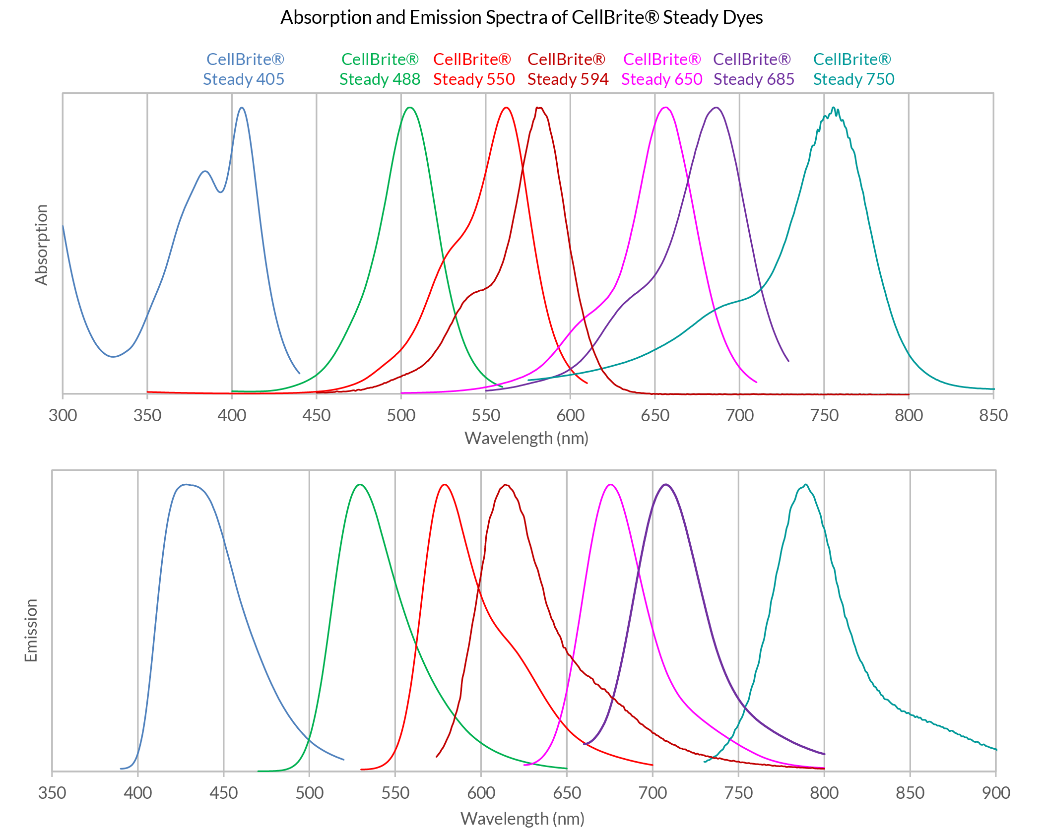 CellBrite® Steady Membrane Staining Kits - Image 13
