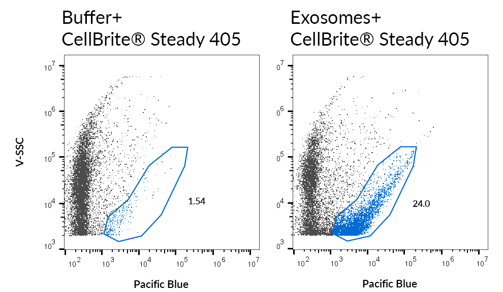 CellBrite® Steady Membrane Staining Kits - Image 14