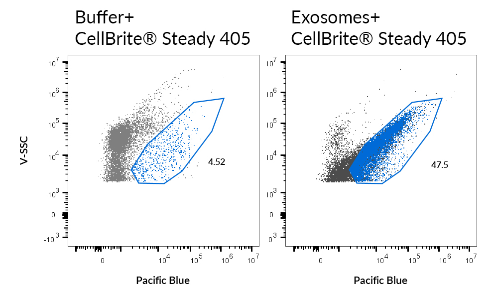 CellBrite® Steady Membrane Staining Kits - Image 9