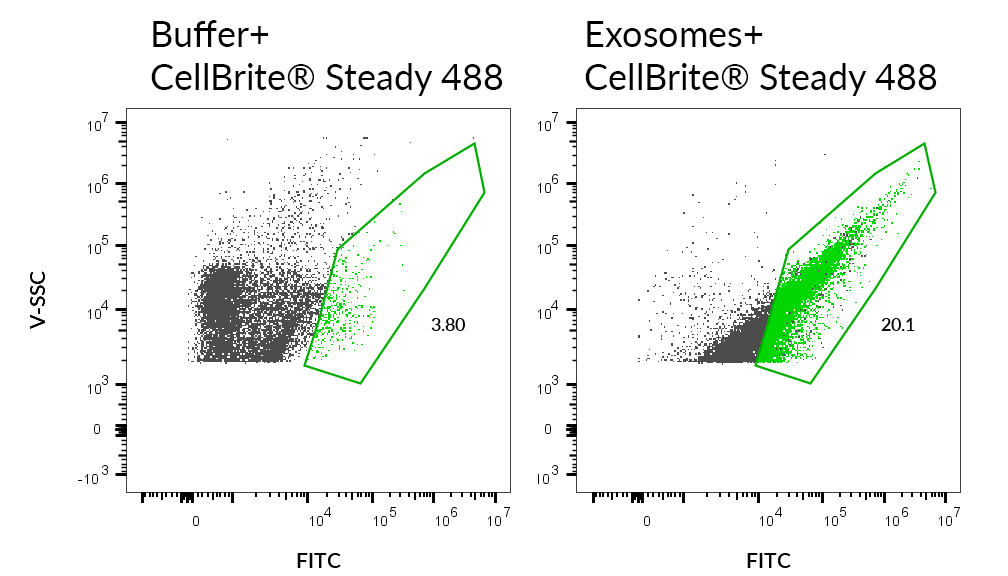 CellBrite® Steady Membrane Staining Kits - Image 10
