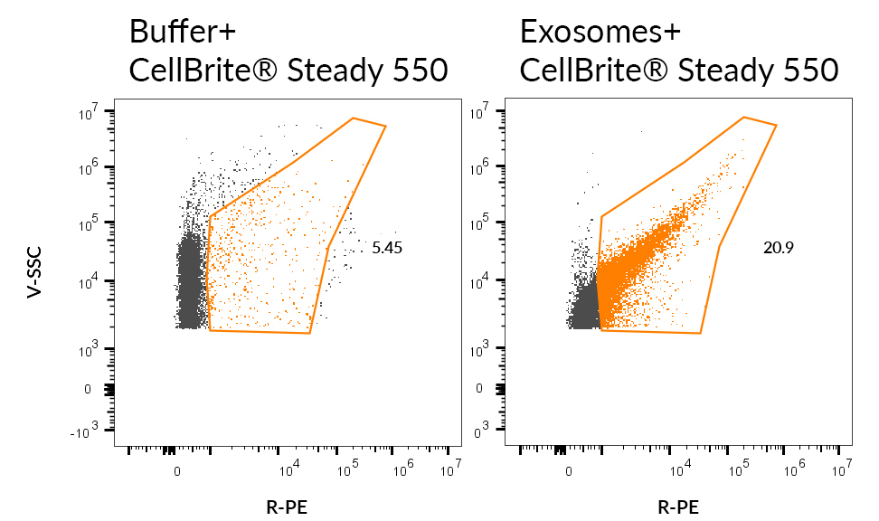 CellBrite® Steady Membrane Staining Kits - Image 11