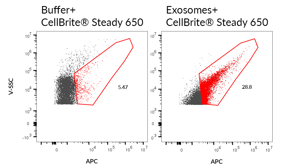 CellBrite® Steady Membrane Staining Kits - Image 12