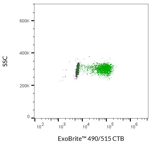 ExoBrite™ CTB EV Staining Kits - Image 9