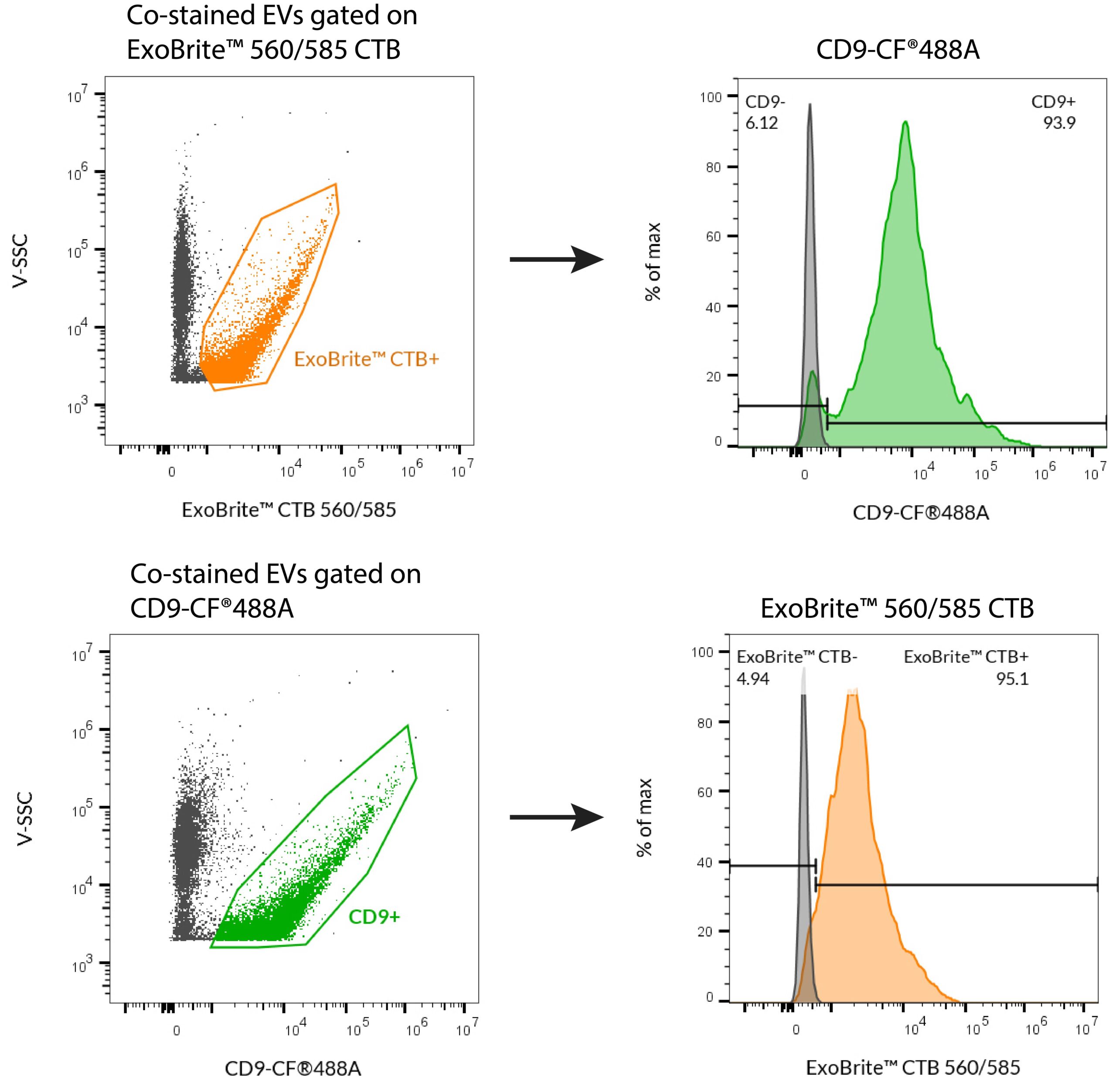 ExoBrite™ CTB EV Staining Kits - Image 13