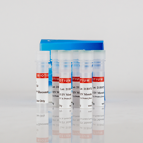 ExoBrite™ CTB EV Staining Kits