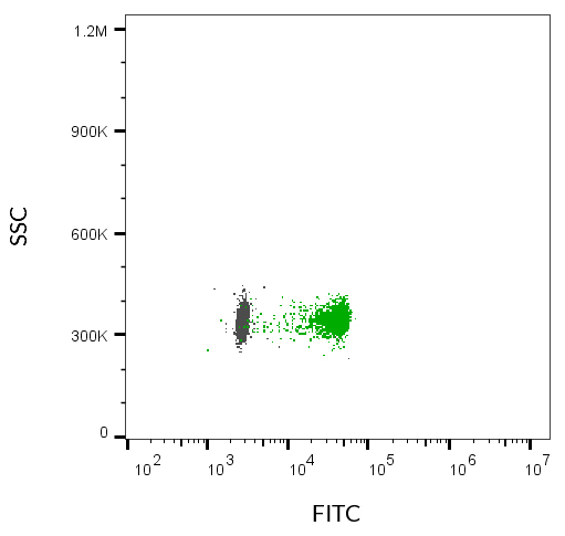 ExoBrite™ CD63 Flow Antibody - Image 9