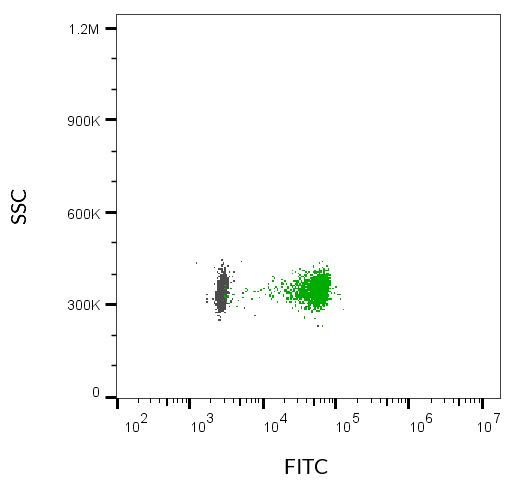 ExoBrite™ CD81 Flow Antibody - Image 9