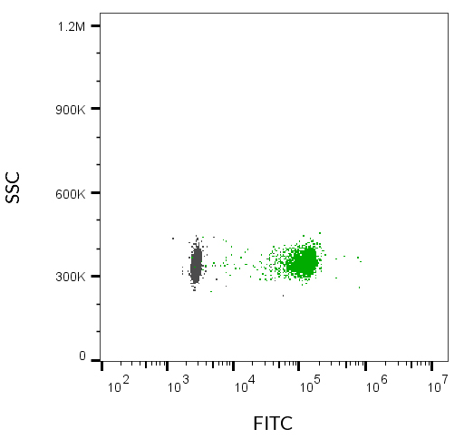 ExoBrite™ CD9 Flow Antibody - Image 10