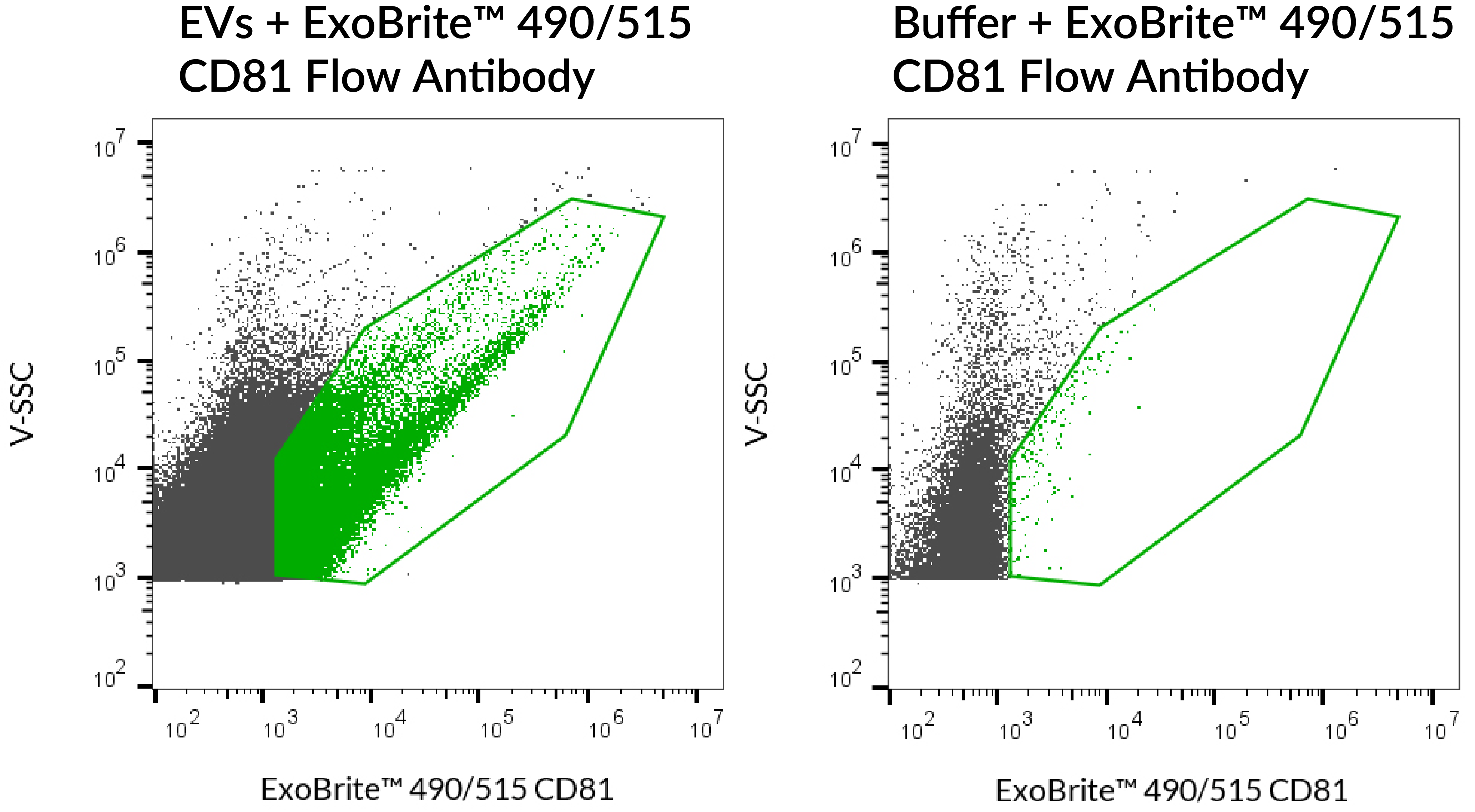 ExoBrite™ CD81 Flow Antibody - Image 3