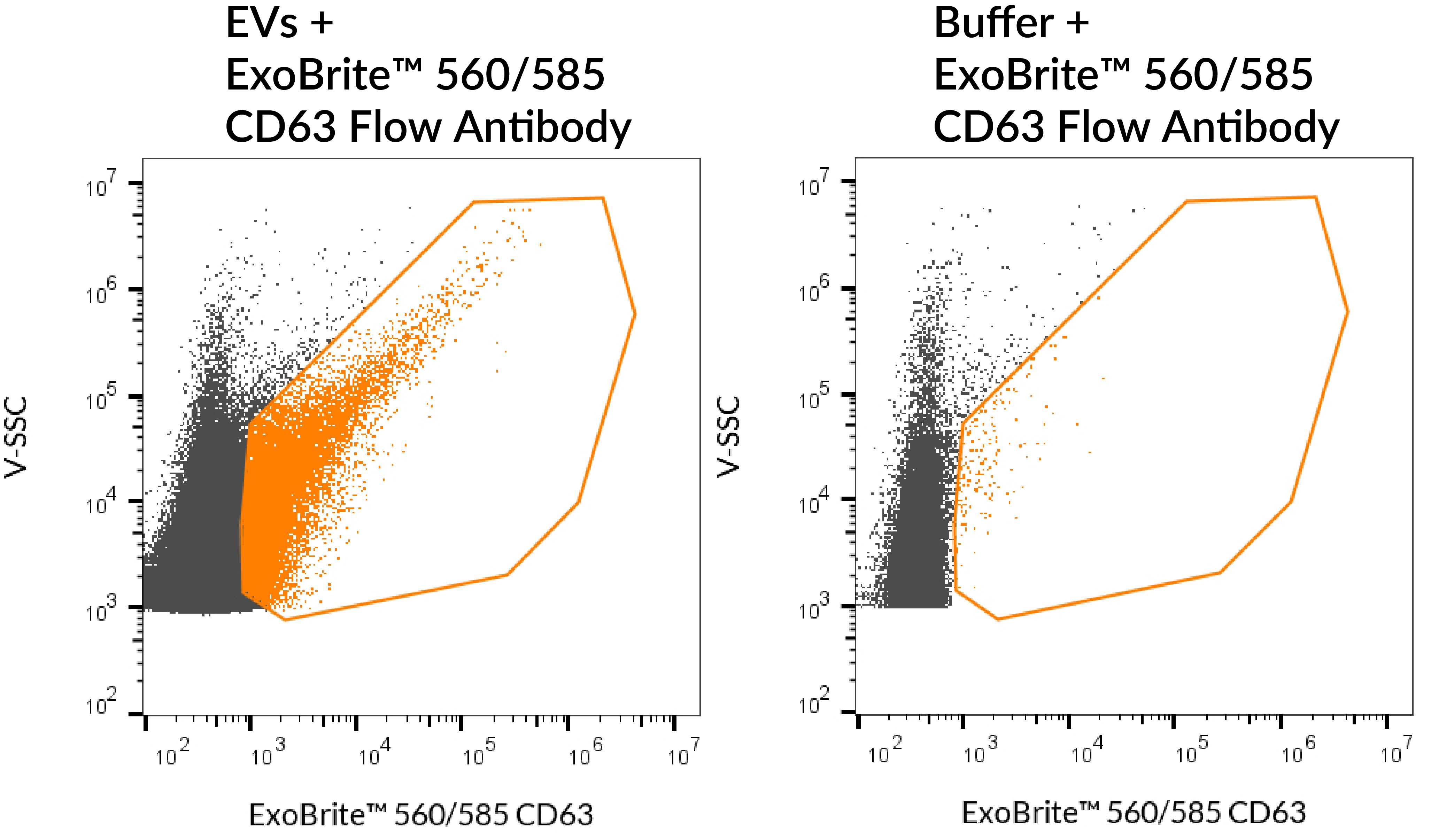 ExoBrite™ CD63 Flow Antibody - Image 4