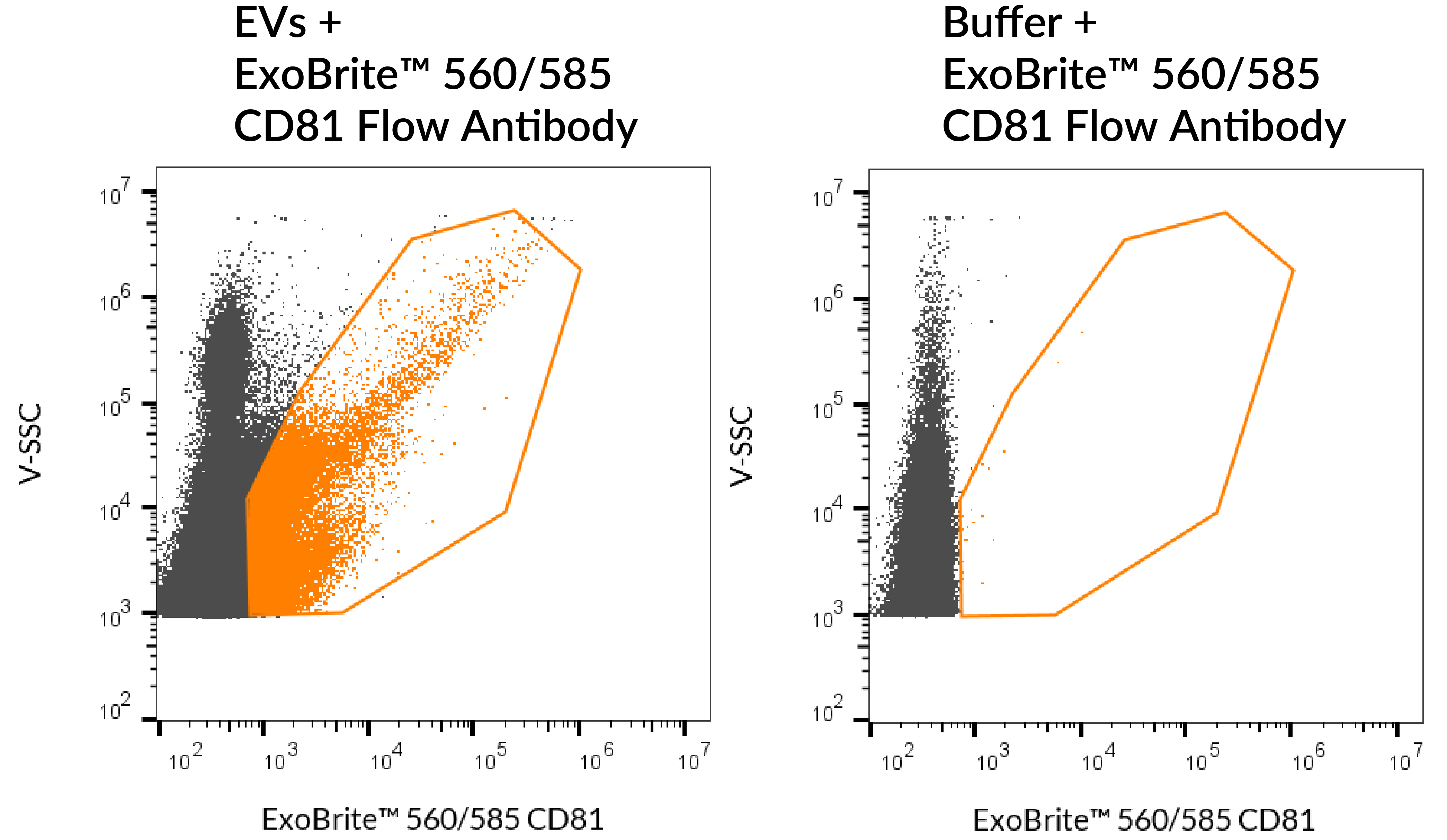 ExoBrite™ CD81 Flow Antibody - Image 4