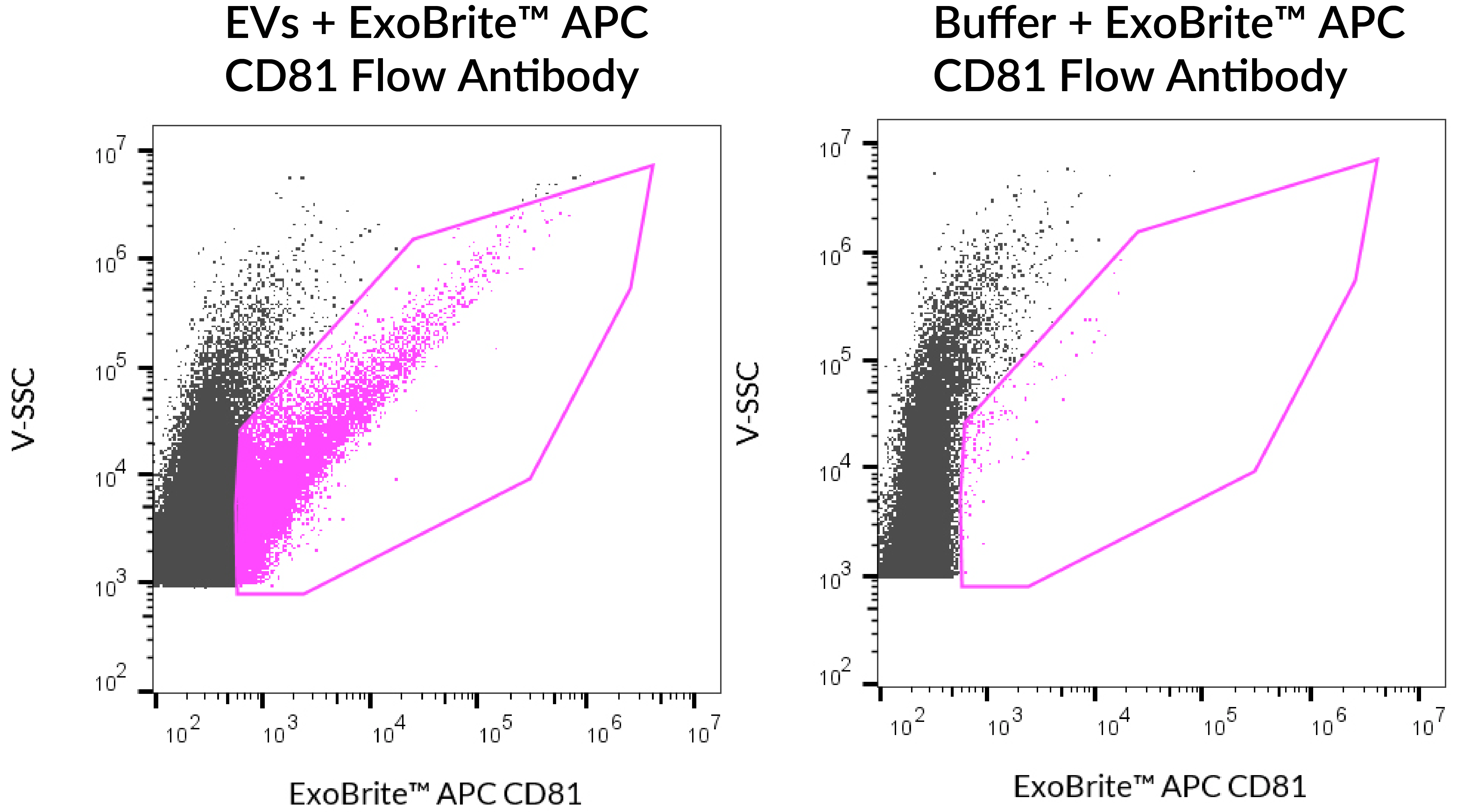 ExoBrite™ CD81 Flow Antibody - Image 7