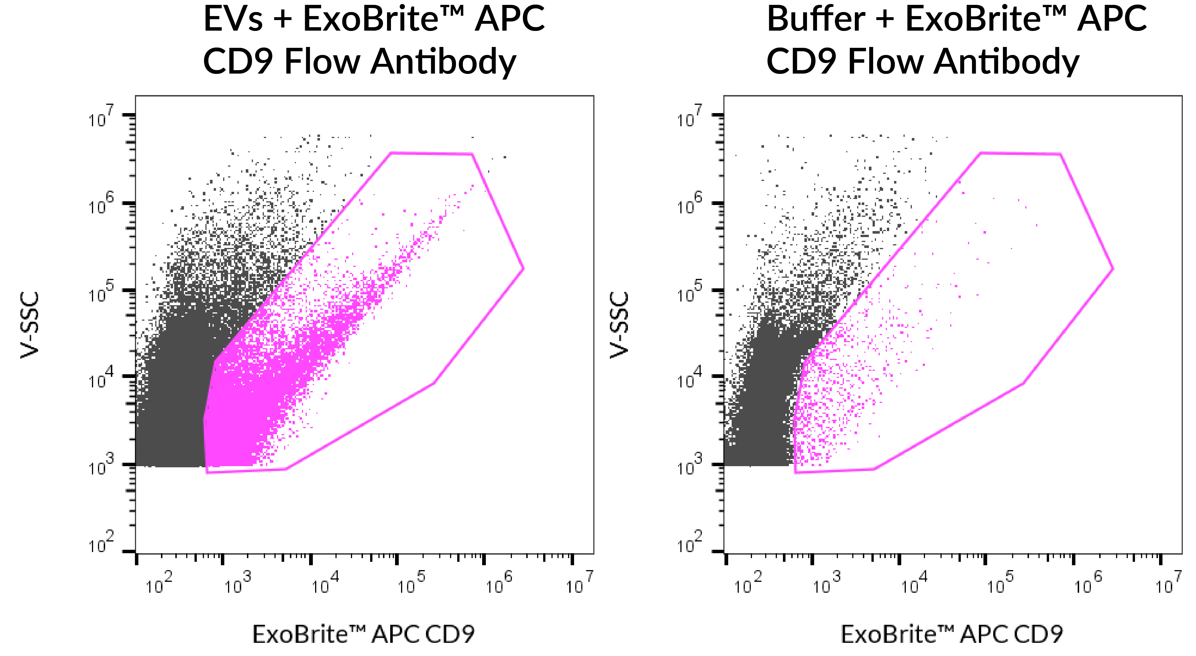 ExoBrite™ CD9 Flow Antibody - Image 7