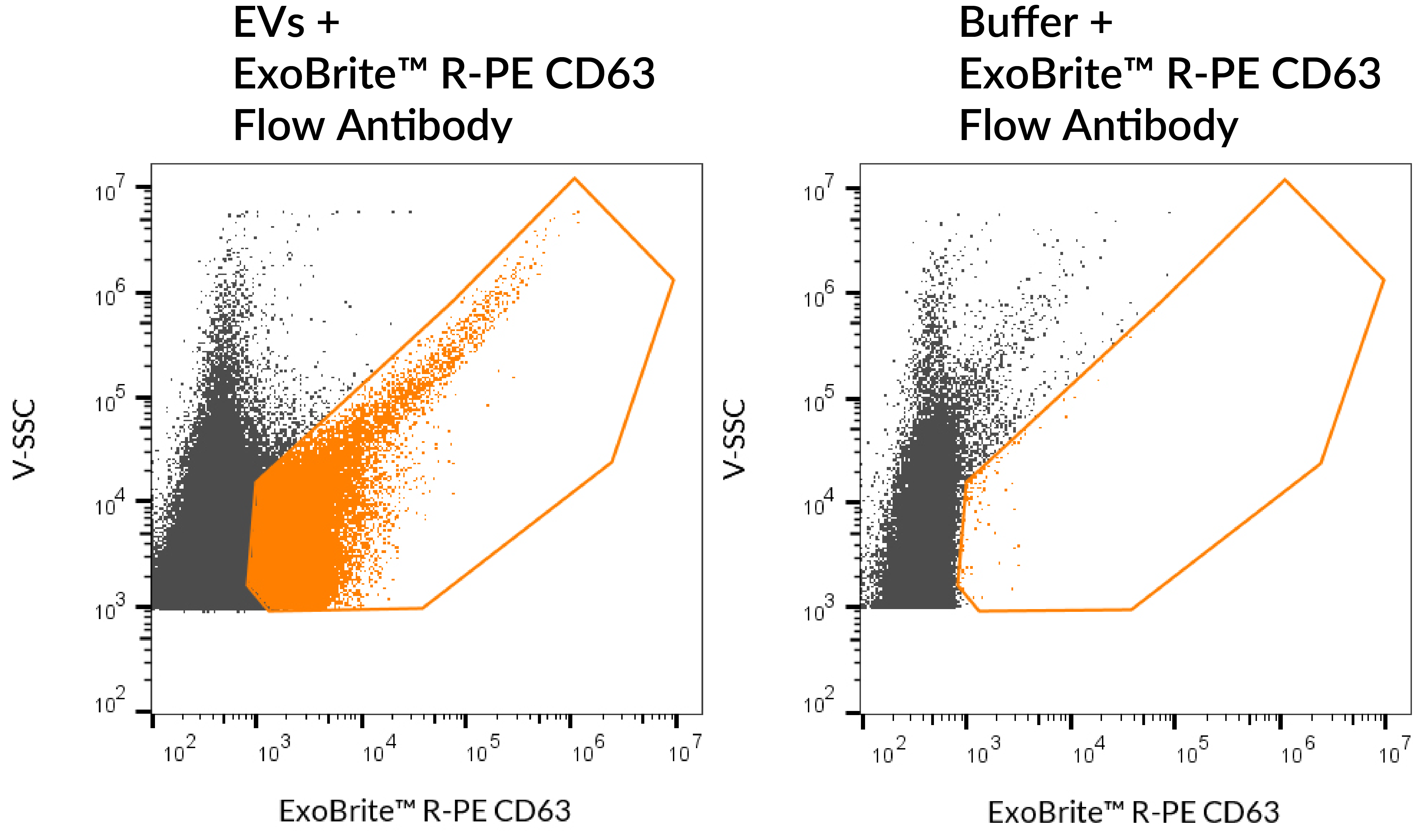 ExoBrite™ CD63 Flow Antibody - Image 5