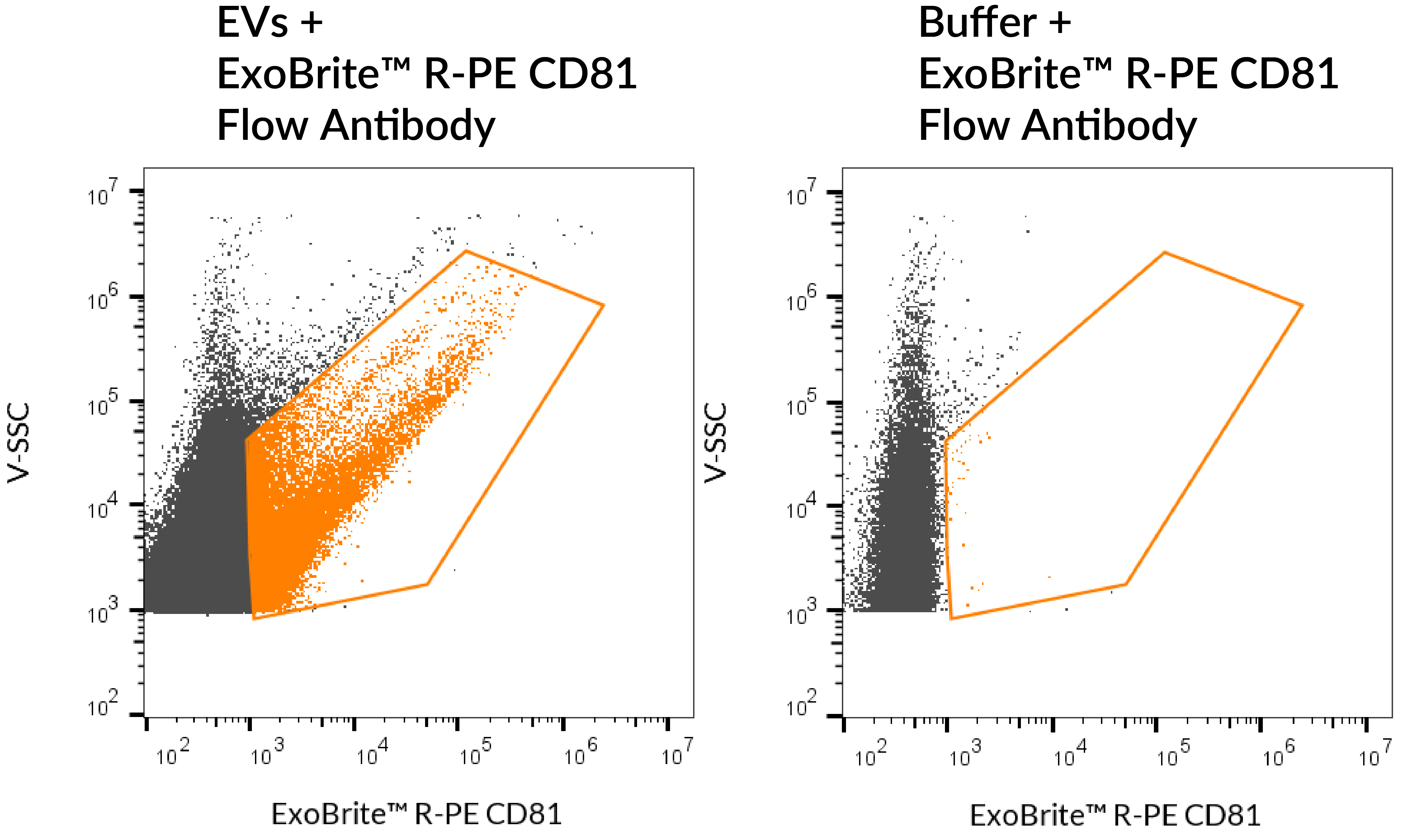 ExoBrite™ CD81 Flow Antibody - Image 5