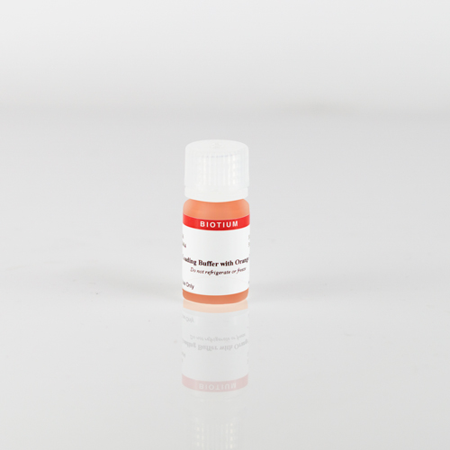 4X Protein Loading Buffer with Orange Tracking Dye