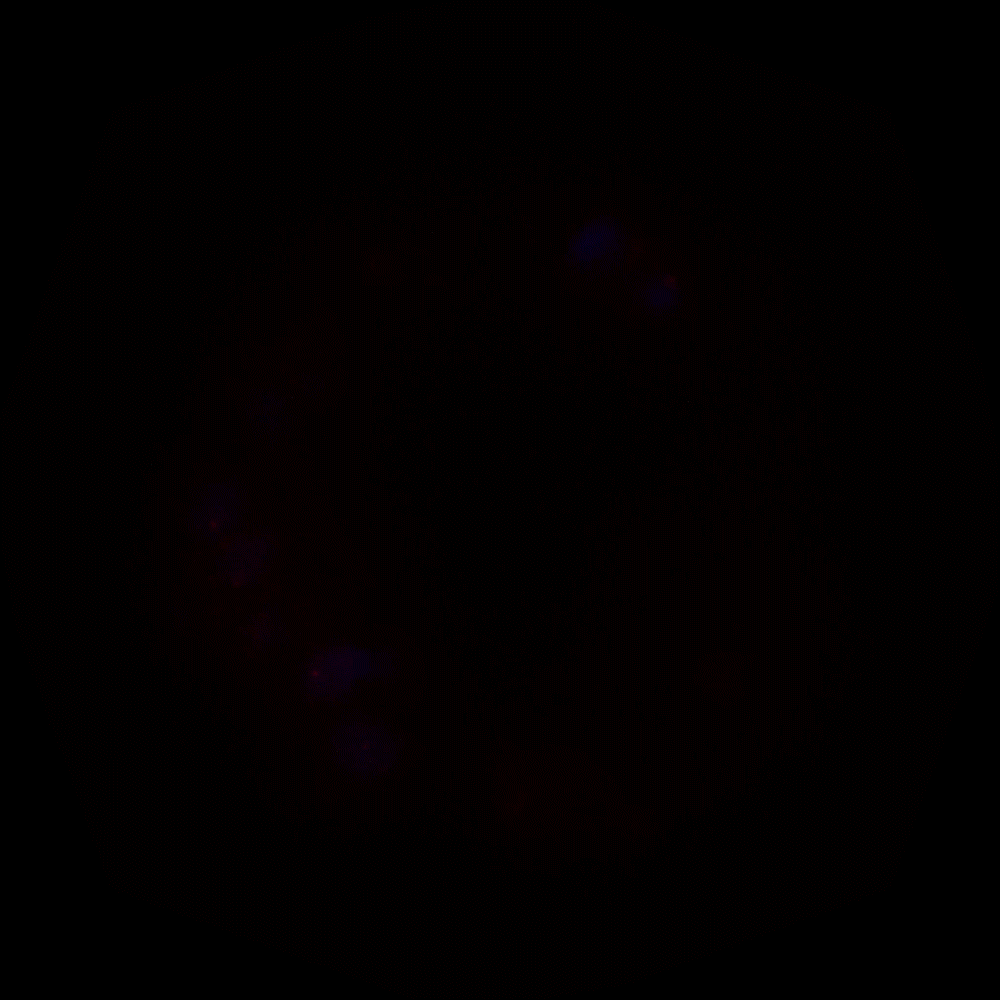 MemBrite® Fix Cell Surface Staining Kits - Image 9