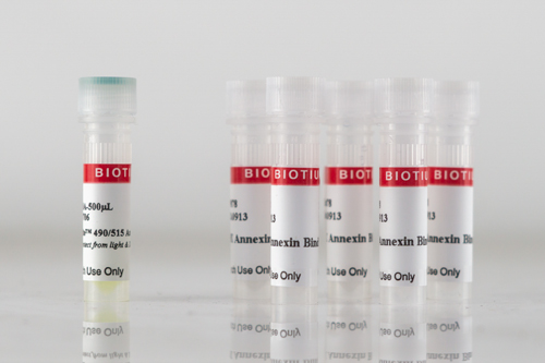 ExoBrite™ Annexin EV Staining Kits