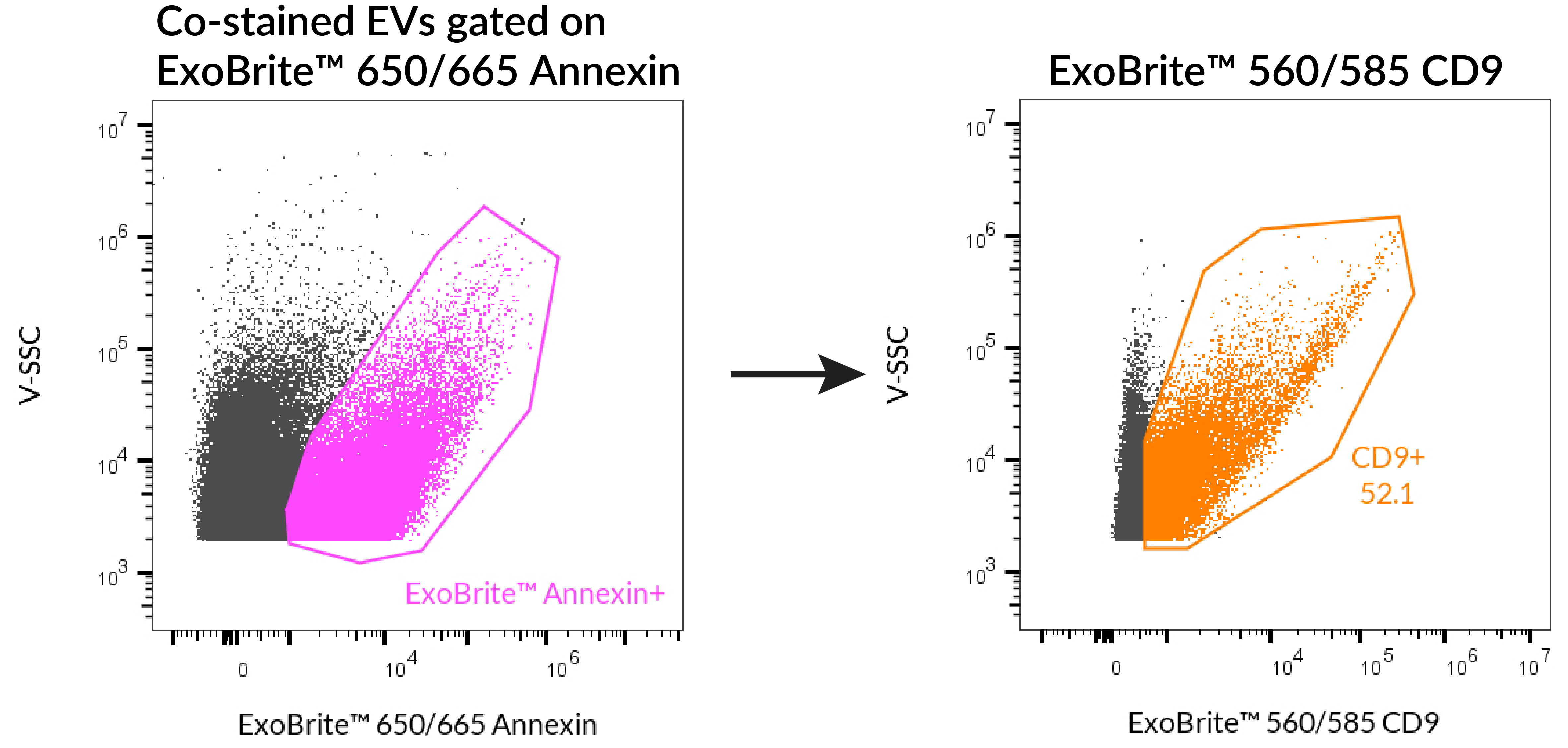 ExoBrite™ Annexin EV Staining Kits - Image 8