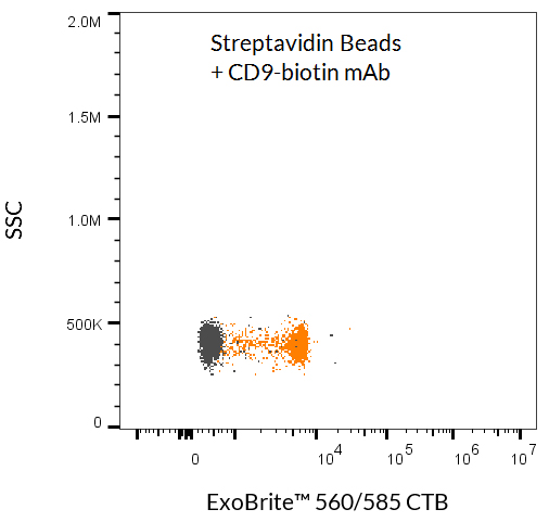 ExoBrite™ Streptavidin Magnetic Beads - Image 2