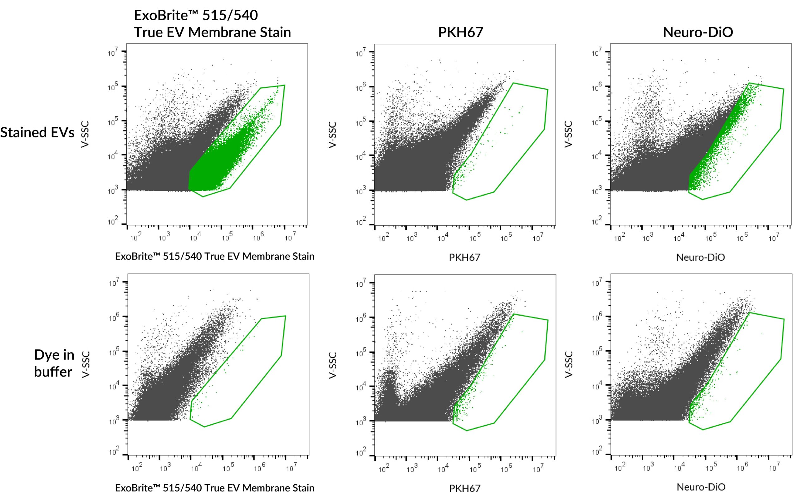 ExoBrite™ True EV Membrane Stains - Image 6