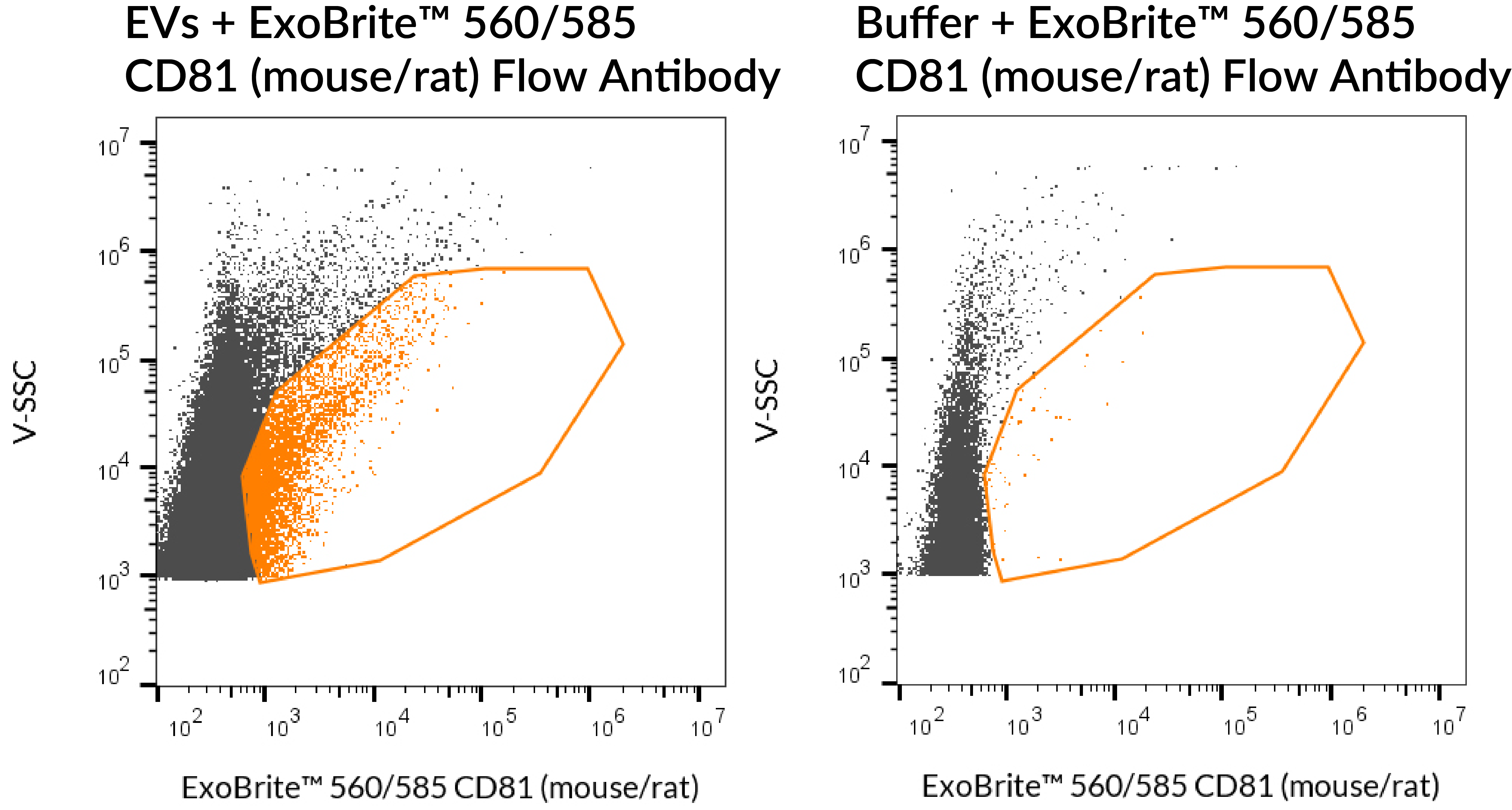 ExoBrite™ CD81 Flow Antibody - Image 10