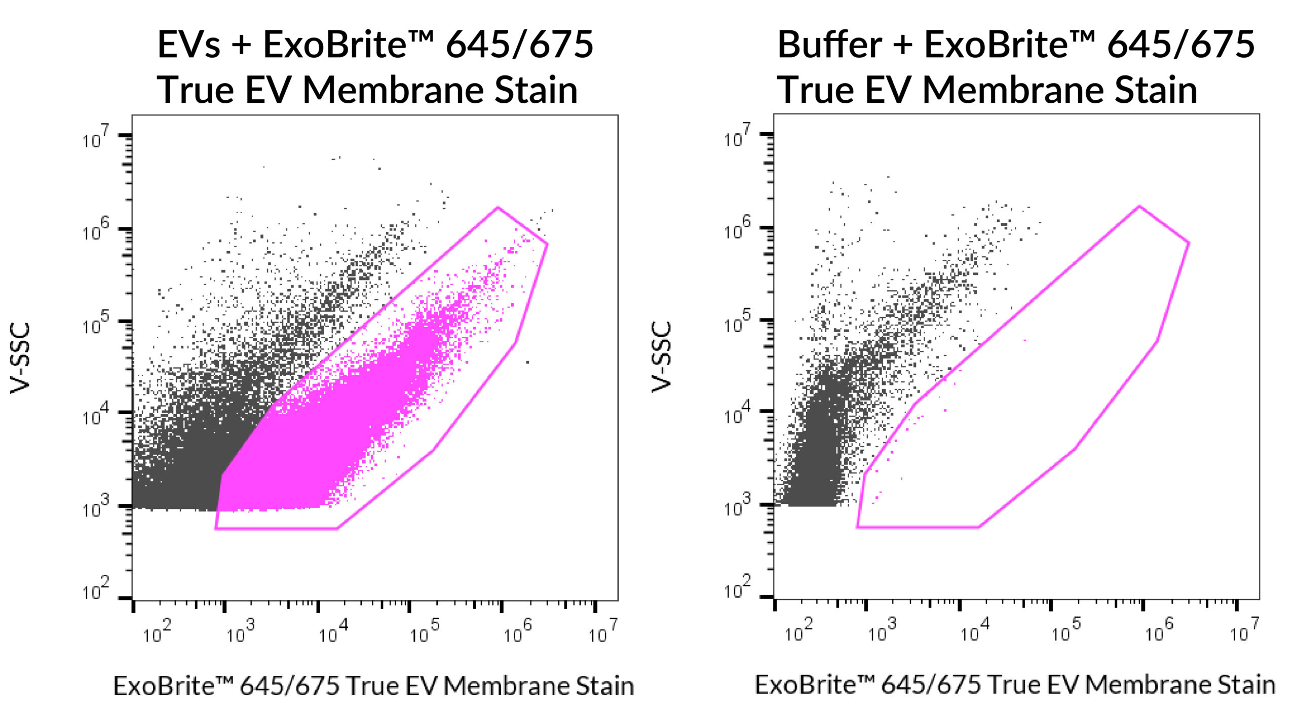 ExoBrite™ True EV Membrane Stains - Image 5