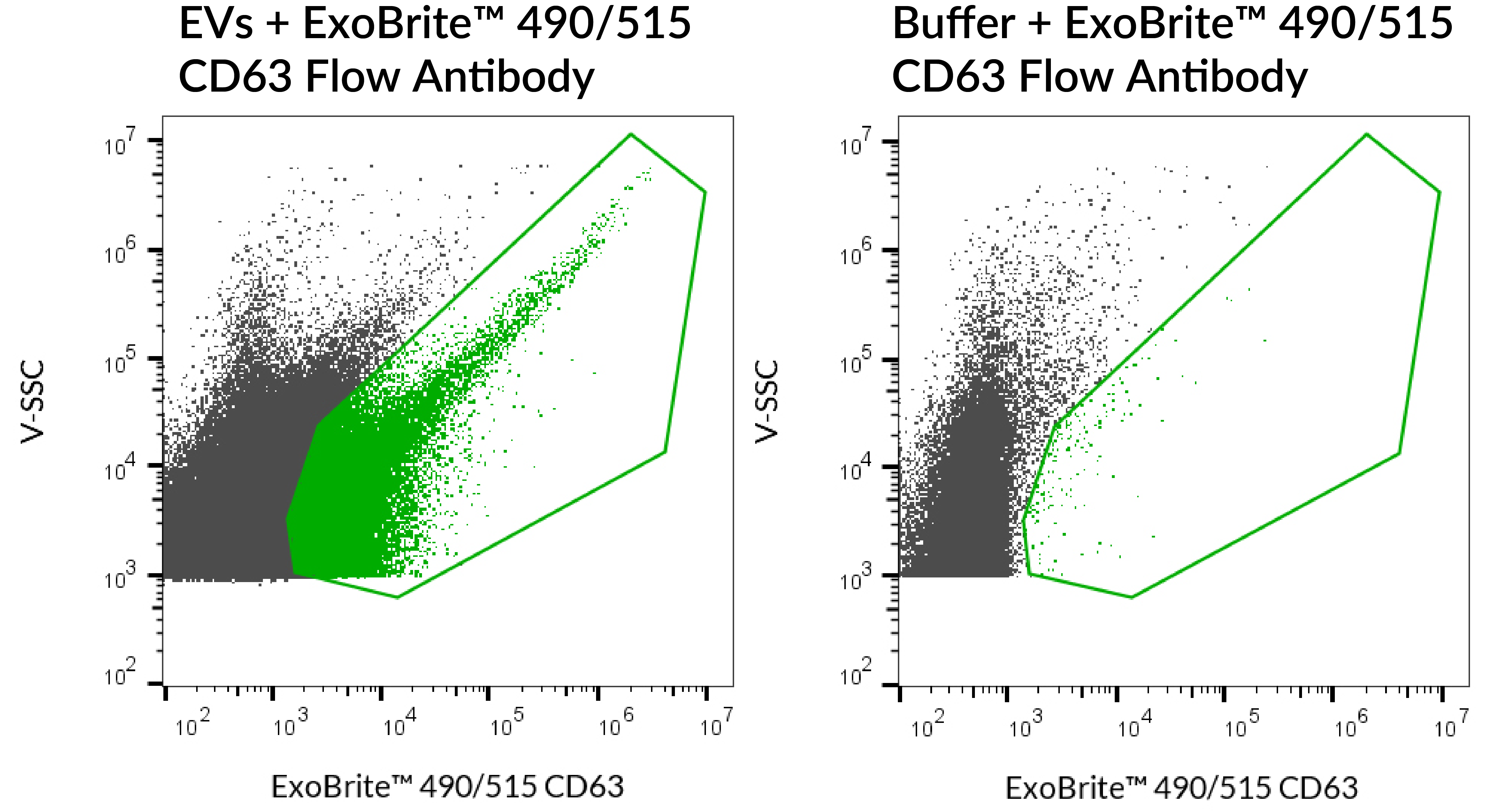 ExoBrite™ CD63 Flow Antibody - Image 3