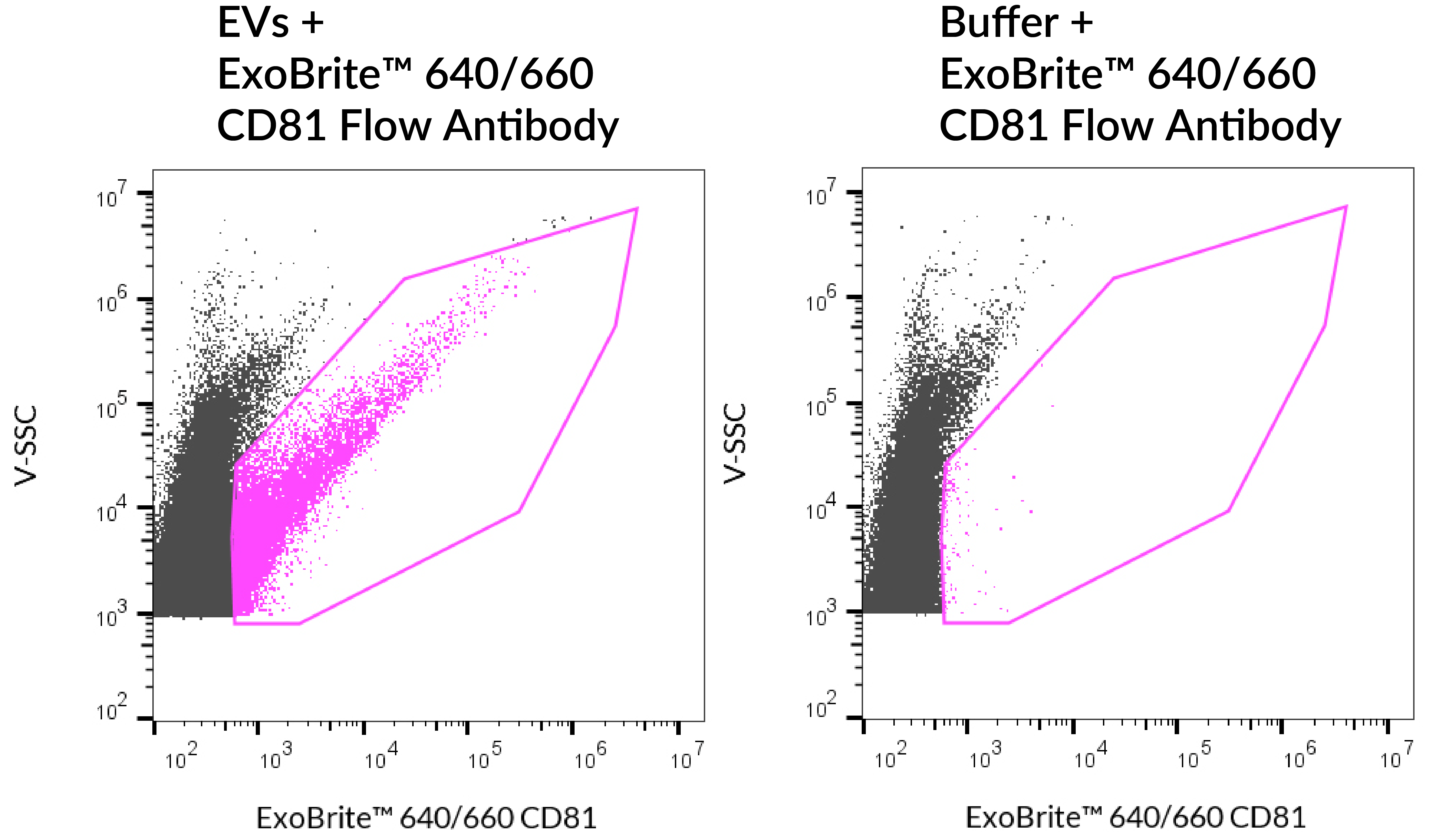 ExoBrite™ CD81 Flow Antibody - Image 6