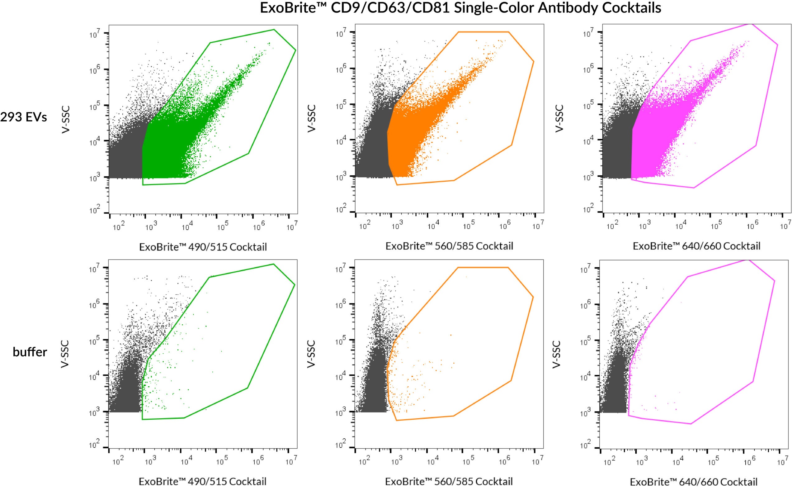 ExoBrite™ CD9/CD63/CD81 Single-Color Antibody Cocktails - Image 2